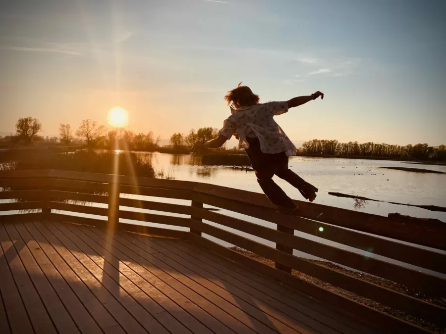 Bootsy leaping along a boardwalk railing over a marsh at sunset